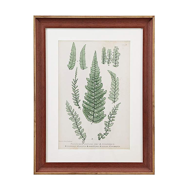 Image 3 Lady Fern 24 3/4 inch High 3-Piece Framed Wall Art Set more views