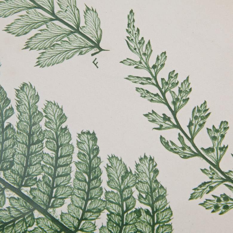 Image 6 Lady Fern 24 3/4" High 3-Piece Framed Wall Art Set more views