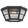 Lake County 13 3/4" Wide French Iron 2-Light Ceiling Light