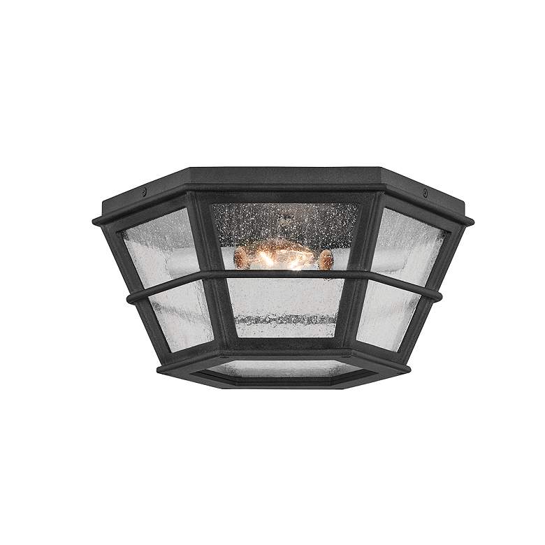 Image 2 Lake County 13 3/4" Wide French Iron 2-Light Ceiling Light more views