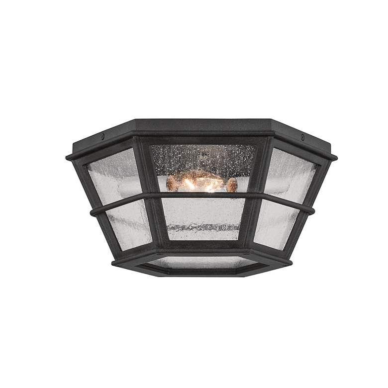 Image 3 Lake County 13 3/4" Wide French Iron 2-Light Ceiling Light more views