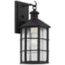 Lake County 14 3/4" High French Iron Outdoor Wall Light