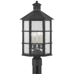 Lake County 21 1/4&quot; High French Iron Outdoor Post Light
