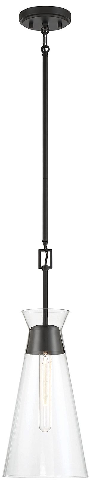 Lakewood 1-Light Pendant in Matte Black