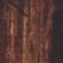 5_Lalia Home 60" Metal and Wood 3-Shelf Etagere Floor Lamp more views