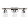 Lalia Home Barnlit 3Lt Metal and Clear Glass Vanity Fixture, Gray