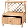 6_Lalo 21 1/2" Wide Natural Brown Rattan 1-Drawer Nightstand more views