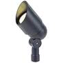 Lambda 3" High Black Landscape Spot Light