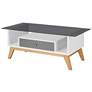 6_Lana 47 1/4" Wide Gray and White 1-Drawer Coffee Table more views