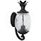 Lanai 18" High Black 2-Light Outdoor Wall Light