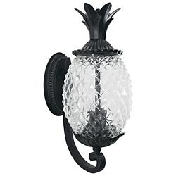Lanai 18" High Black 2-Light Outdoor Wall Light