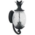Acclaim Lighting Lanai Collection