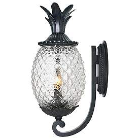Image5 of Lanai 18" High Black Coral 2-Light Outdoor Wall Light more views