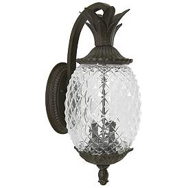Image1 of Lanai 2-Light Black Coral Wall Light