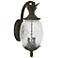 Lanai 2-Light Black Coral Wall Light