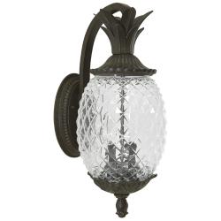 Lanai 2-Light Black Coral Wall Light