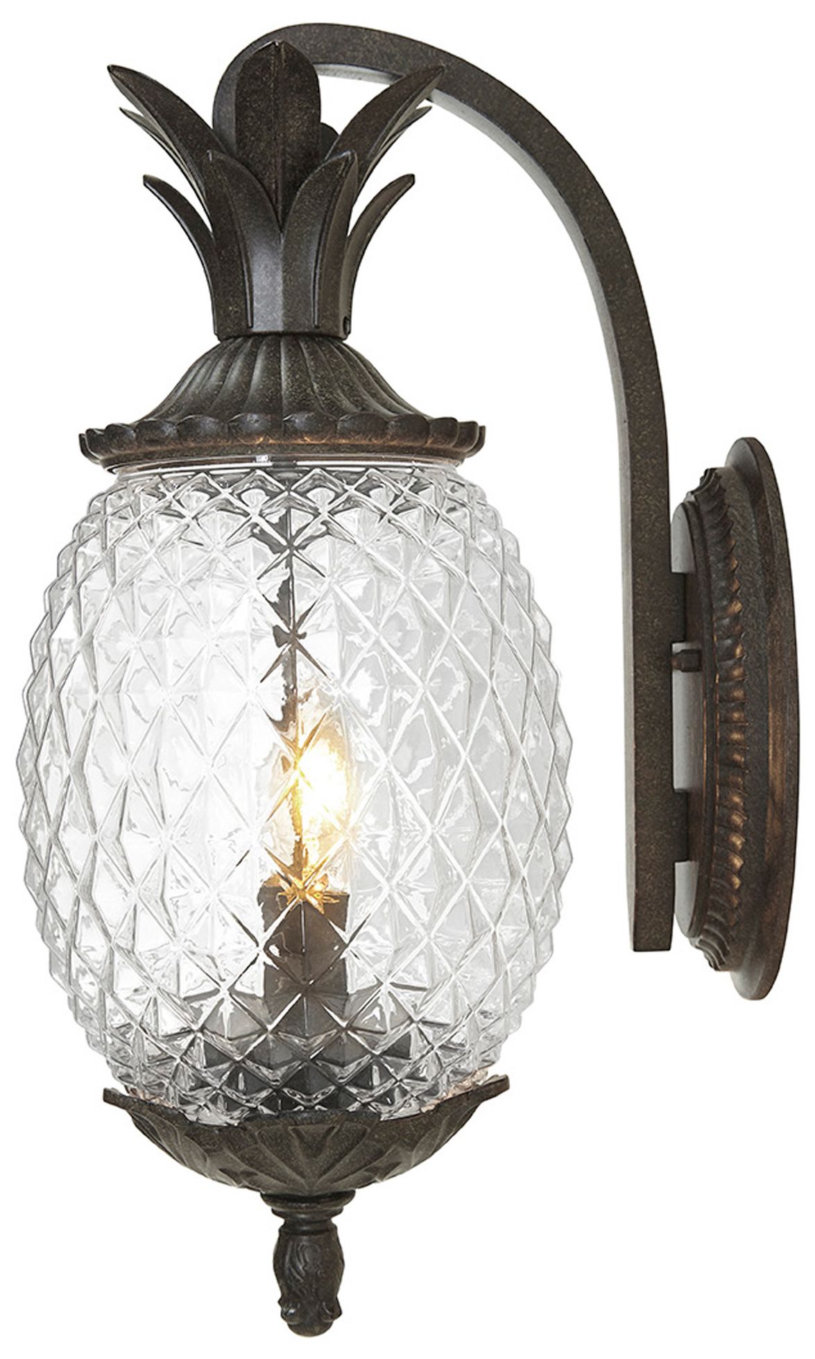 Image 4 Lanai 2-Light Black Coral Wall Light more views