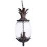 2_Lanai 21" High Black Coral 3-Light Outdoor Hanging Light
