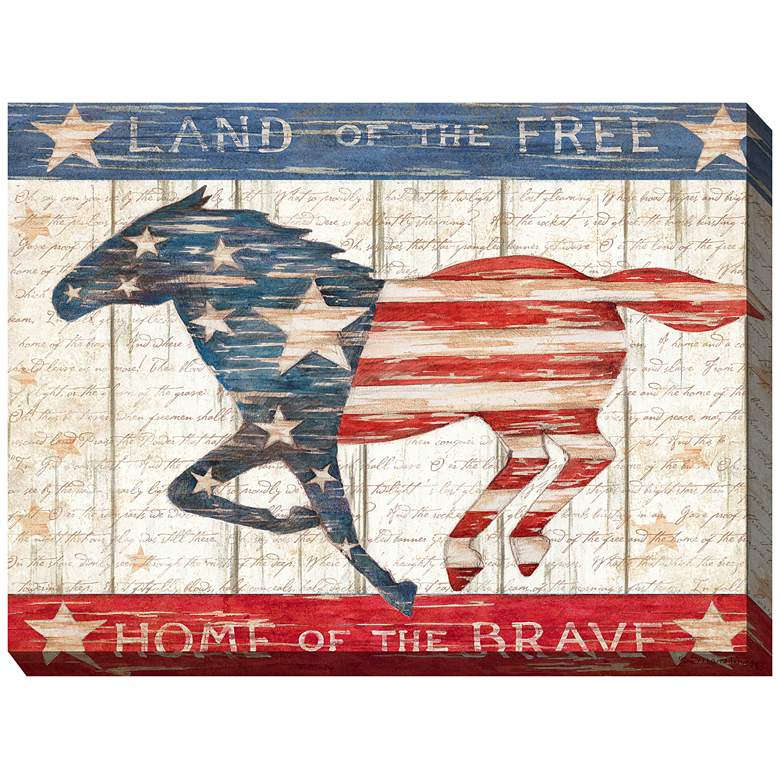 Image 2 Land of the Free 40"W Rectangular Outdoor Canvas Wall Art