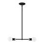 Thumbnail3 of Lansdale 2 Light Black Linear Chandelier with Brushed Nickel Accents more views