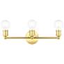 1_Lansdale 3 Light Polished Brass Bath Vanity