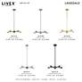 Thumbnail3 of Lansdale 5 Light Polished Brass Chandelier more views