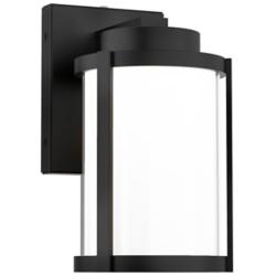 Lantern 10"H x 7.13"W 1-Light Outdoor Wall Light in Black