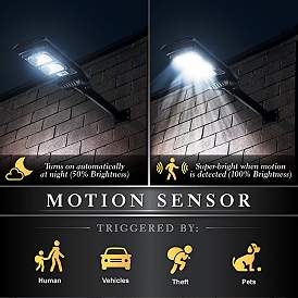 Image4 of Lanz 19" Long Black Motion Sensor Solar Powered LED Street Light more views