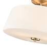 4_Laphia 15 3/4" Wide Modern Gold Ceiling Light more views