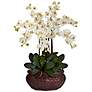 Large Cream Phalaenopsis 30"H Faux Orchid in a Woven Basket