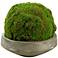 Large Moss Ball 13"W Faux Plant in Round Concrete Bowl