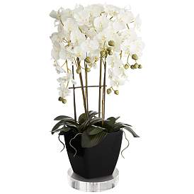 Image1 of Large White Faux Orchid With 8" Round Acrylic Riser