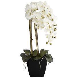 Image5 of Large White Faux Orchid With 8" Round Acrylic Riser more views