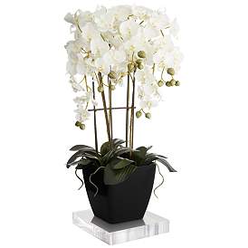 Image1 of Large White Faux Orchid With 8" Square Acrylic Riser