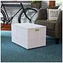 1_Large Woven Sturge Chest, Paper Rope, Arctic White