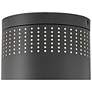6_Lark Casey Small Flush Mount Black more views