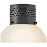 3_Lark Taj Interior Small Flush Mount 9.75" Black more views