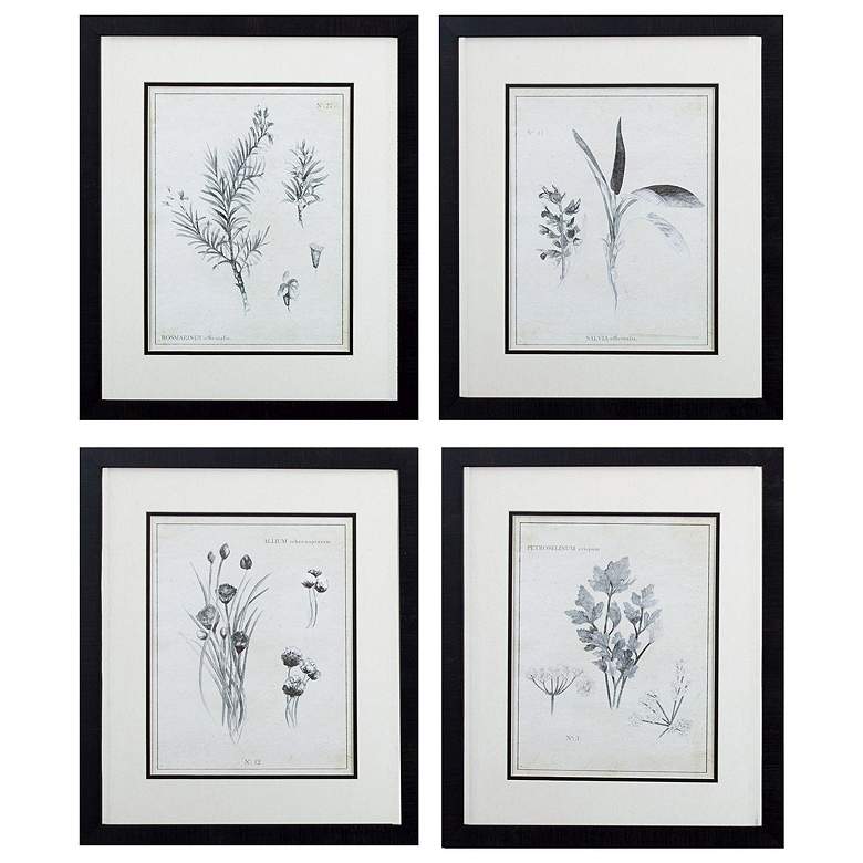 Image 1 Latin Botanicals 18"W x 21"H Framed Art Set of 4