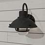 1_Lavalier 1-Light Mottled Black Outdoor Wall Lantern