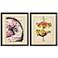 Le Fleur II 22"W x 26"H Traditional Framed Art Set of 2