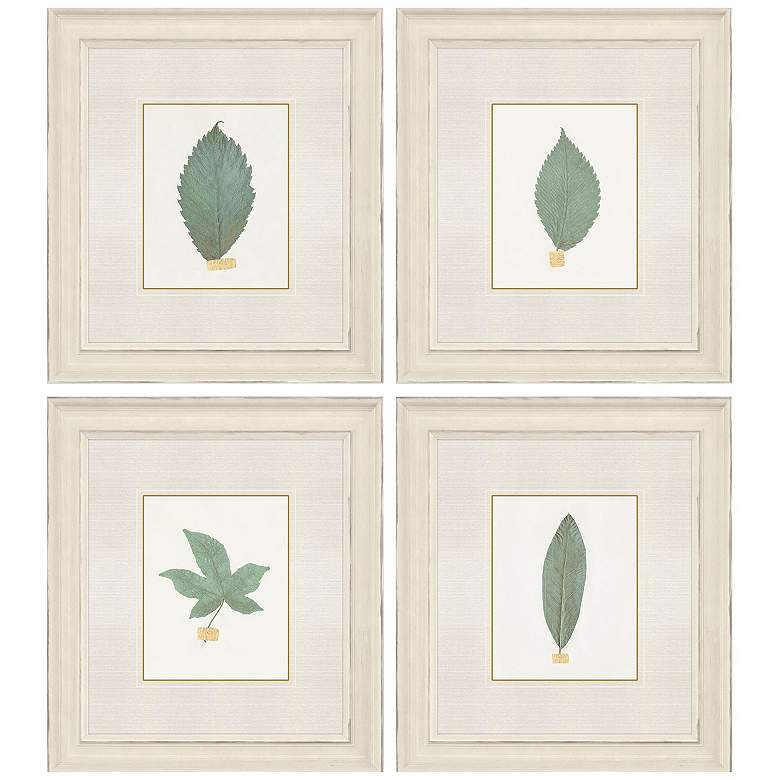 Image 1 Leaf Adorned I 18"W x 20"H Framed Art Set of 4