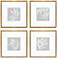 Leaf Study 20" Square 4-Piece Giclee Framed Wall Art Set