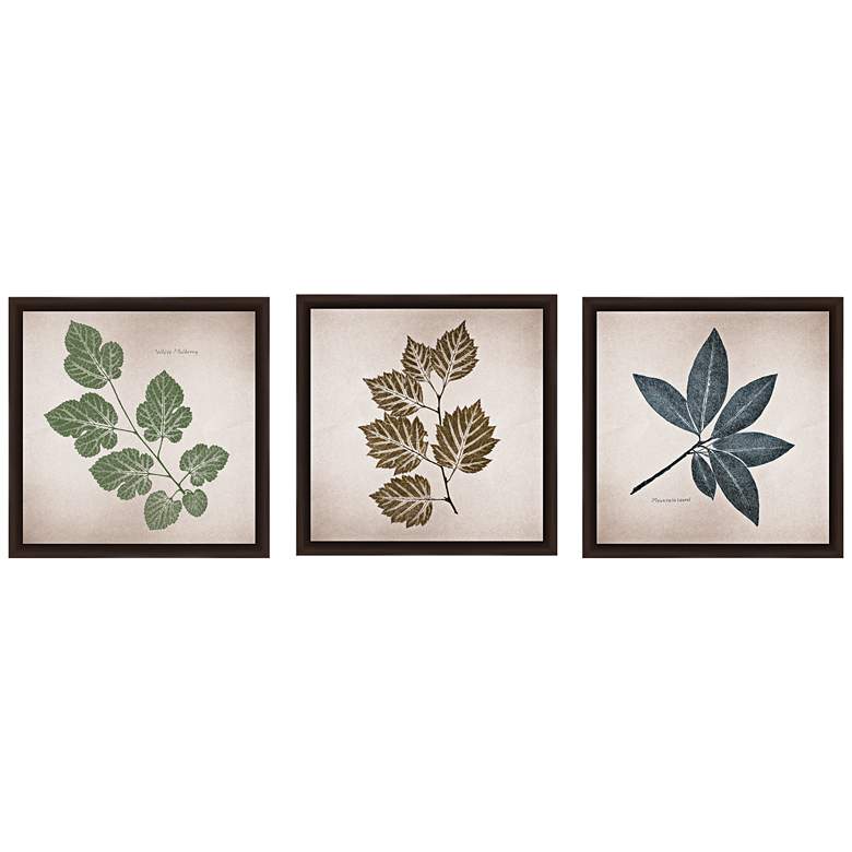 Image 1 Leave 14 inch Square 3-Piece Framed Giclee Wall Art Set
