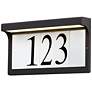 2_LED Address-Outdoor Wall Mount Light Frame Only