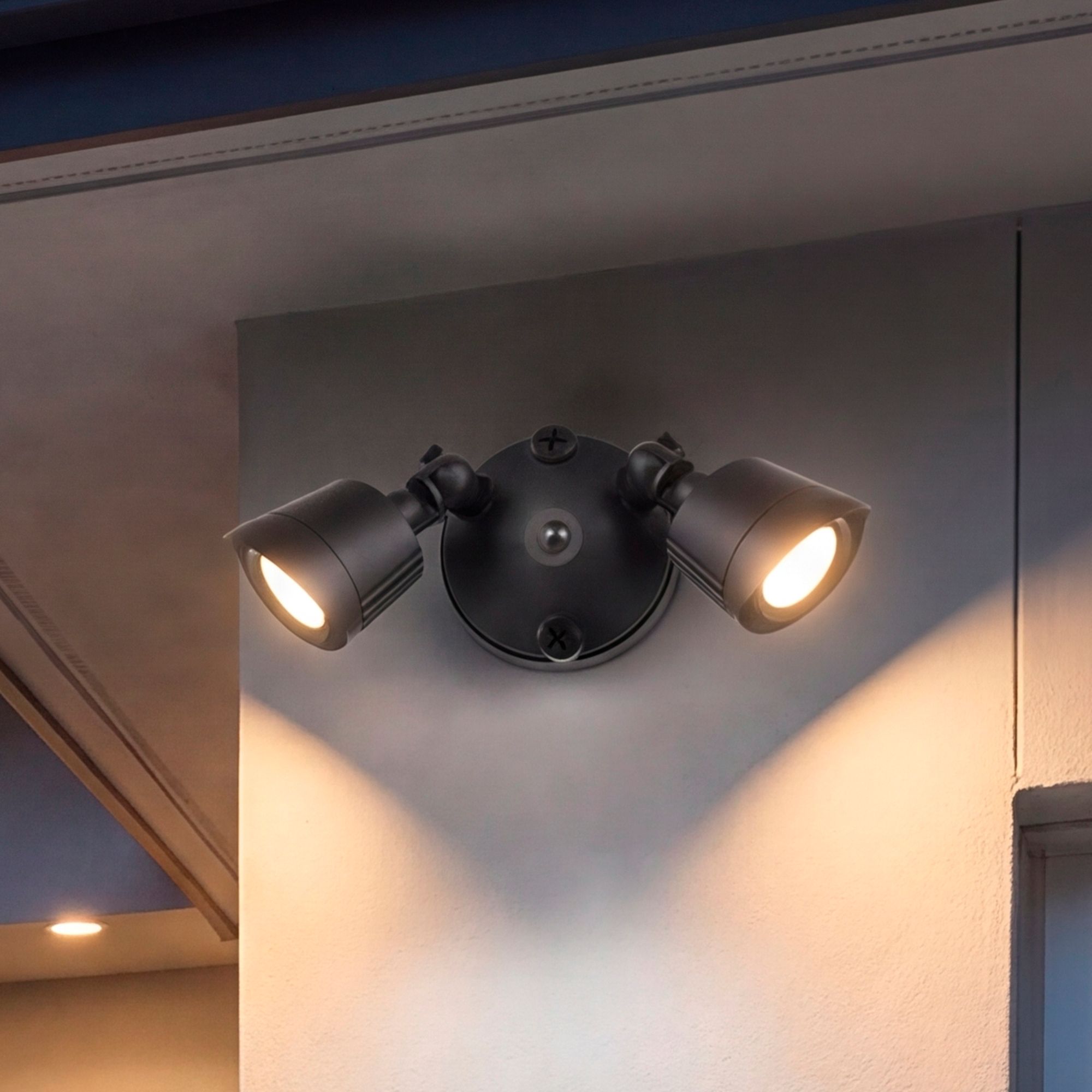 Image 5 LED Double Flood Light in Black more views