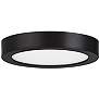 2_LED Flush Mount in Black more views