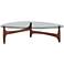 Ledell 52 1/4" Wide Walnut Ash Wood and Glass Modern Coffee Table