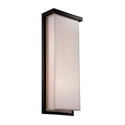 Ledge 20"H x 8"W 1-Light Outdoor Wall Light in Black