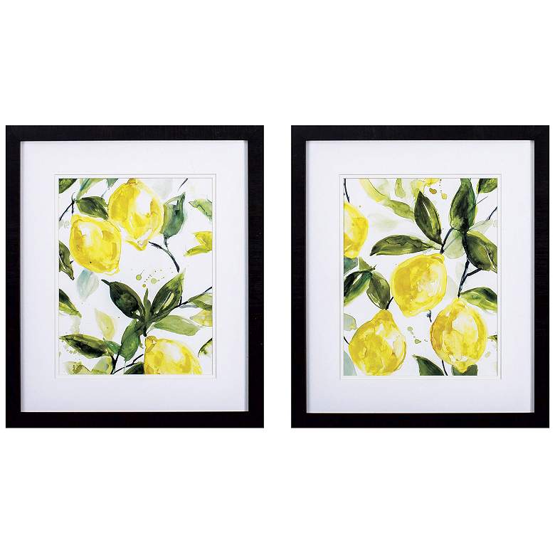 Image 1 Lemony Branch 18"W x 21"H Framed Art Set of 2