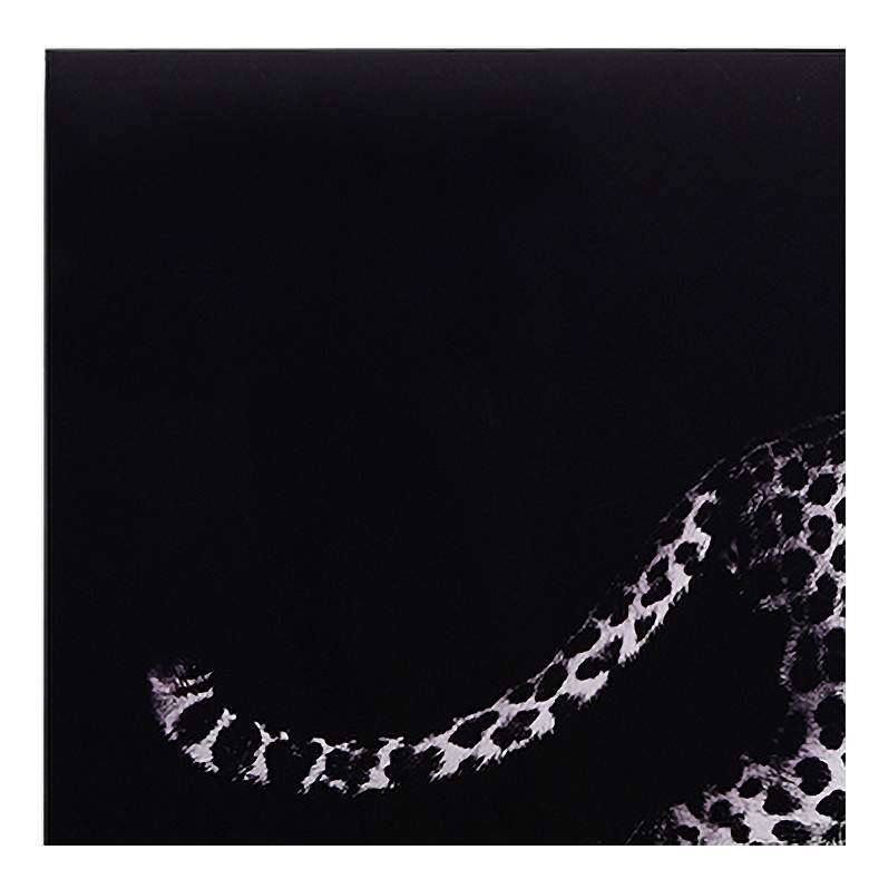 Image 3 Leopard 96" Wide Free Floating 2-Piece Glass Wall Art Set more views
